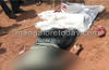 MESCOM  worker dies of electrocution in Puttur